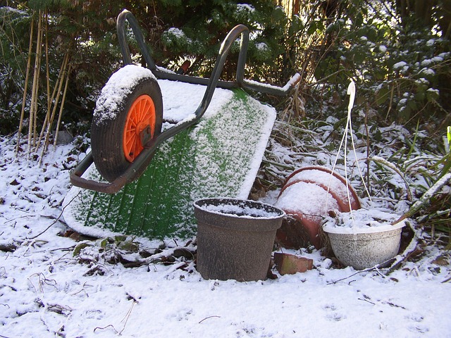 jardinage-hiver