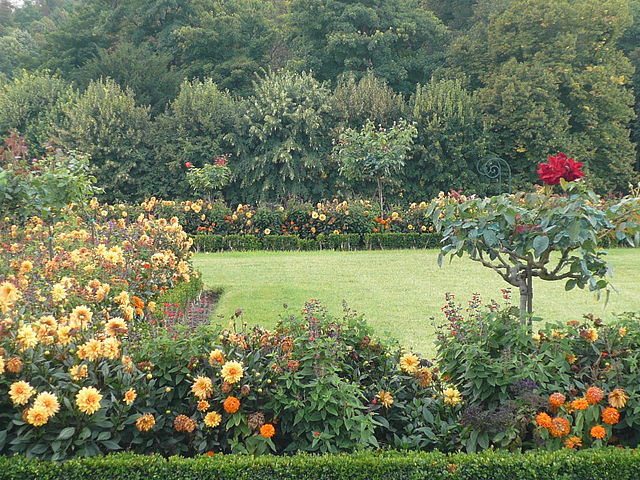 jardin à la française avec fleurs