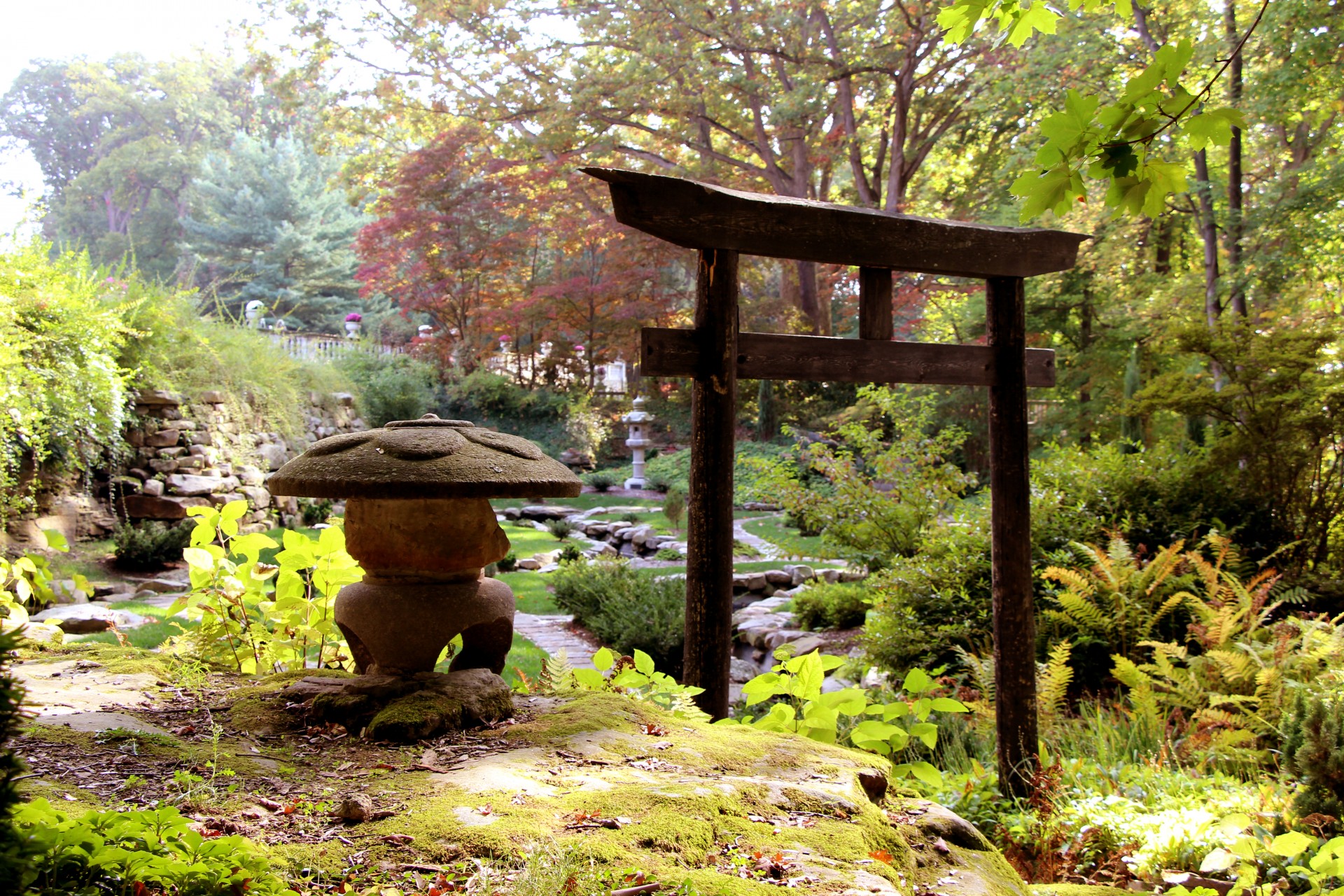 Jardin à la japonaise