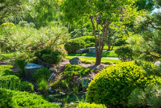 jardin japonais avec bassin